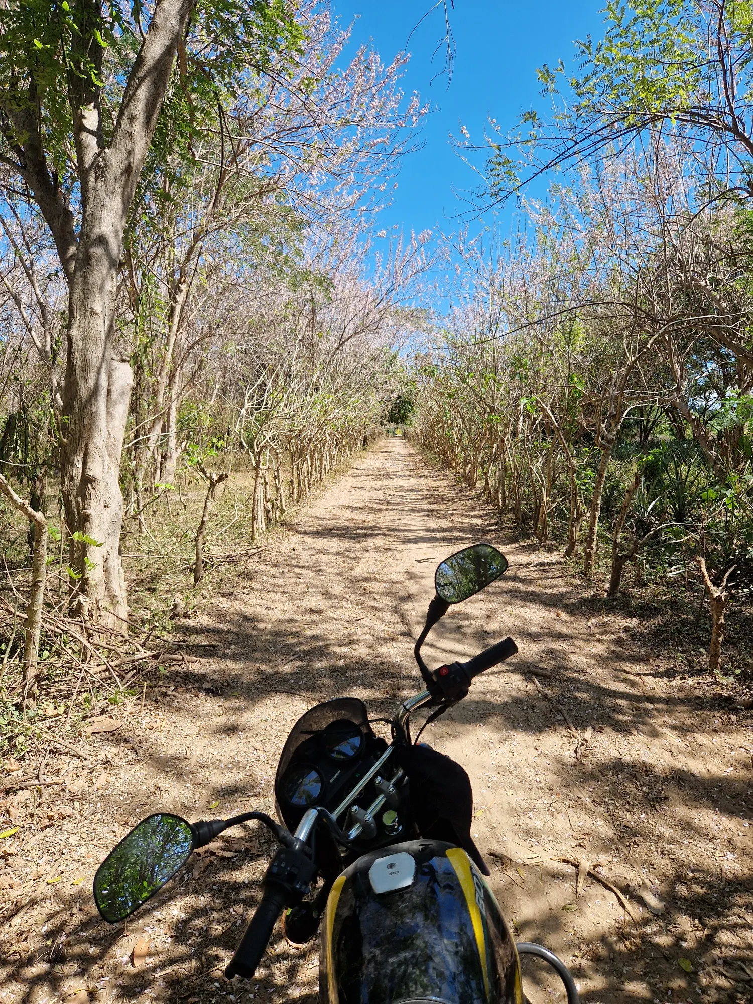 Balade sur les pistes au sud de la ville, à proximité des plantations de cacao.
