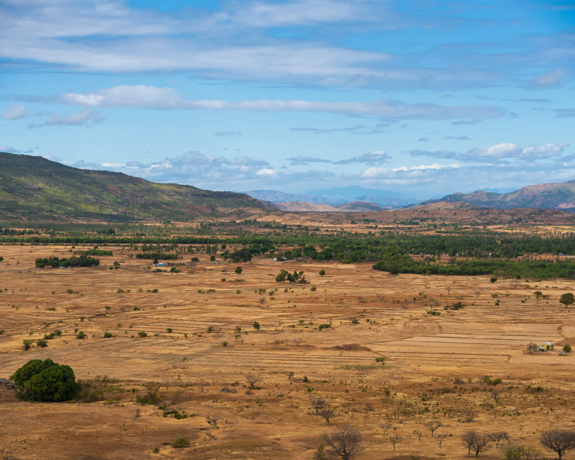 Les grandes plaines malgaches entre Ambilobe et le parc national d'Ankarana.