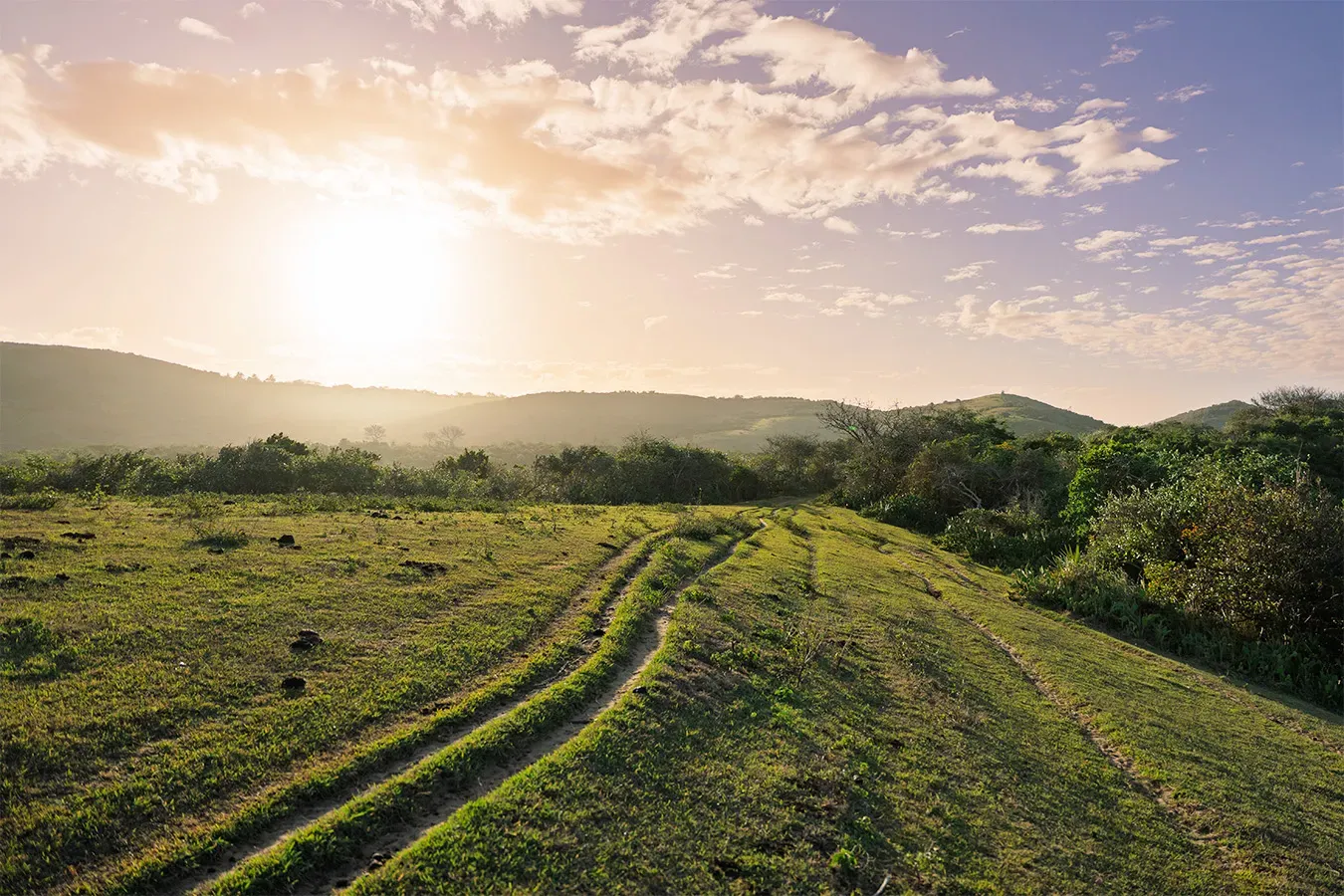 Gorgeous late-afternoon light, but don't hang around too long! Night falls fast in Madagascar!